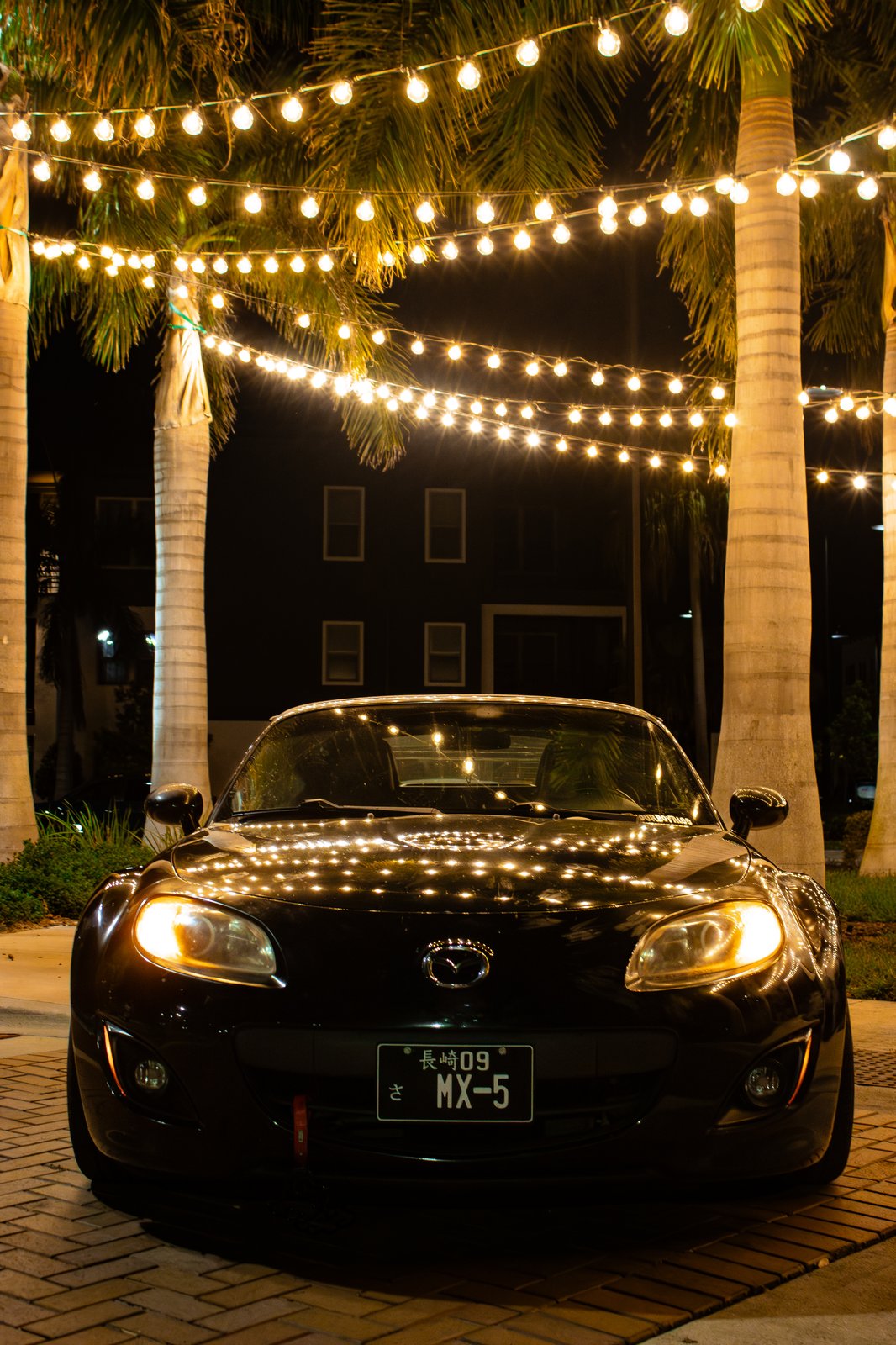 Black Mazda MX-5 Miata front-on portrait under palm tree string lights — Florida JDM photography