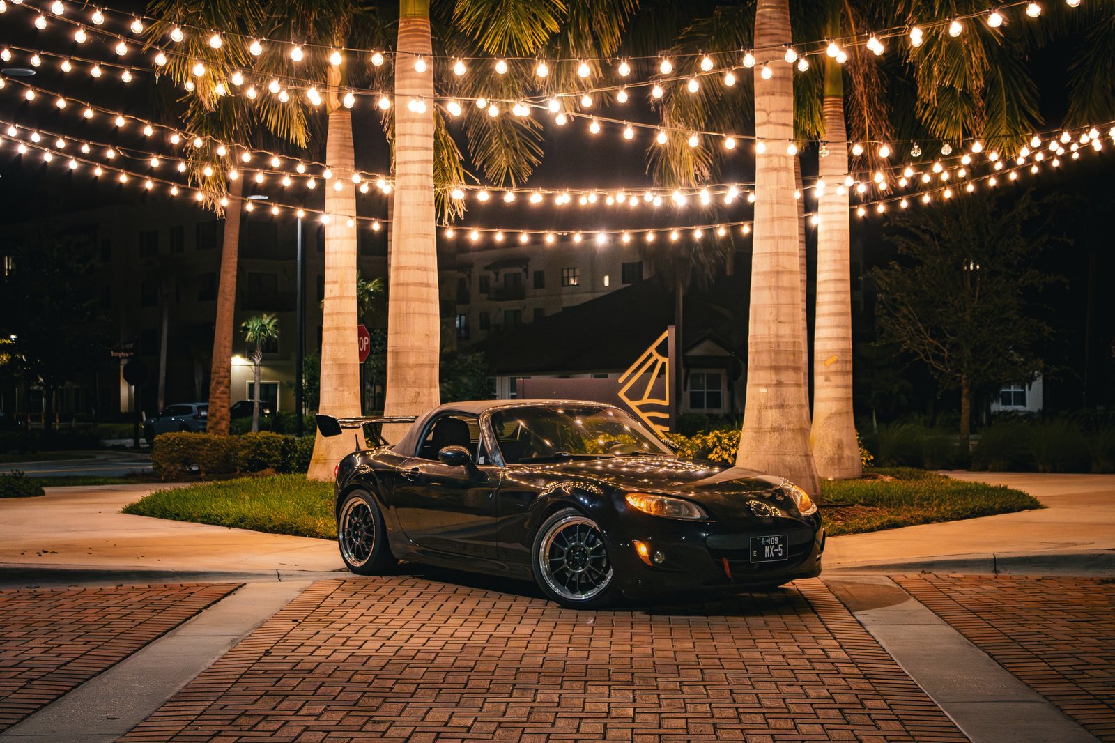 Red Bull Summer Edition with black sports car wheel and string lights — Florida automotive lifestyle